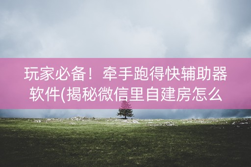 玩家必备！牵手跑得快辅助器软件(揭秘微信里自建房怎么赢)