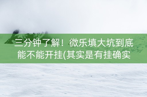 三分钟了解！微乐填大坑到底能不能开挂(其实是有挂确实有挂)