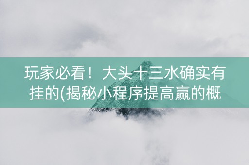 玩家必看！大头十三水确实有挂的(揭秘小程序提高赢的概率)