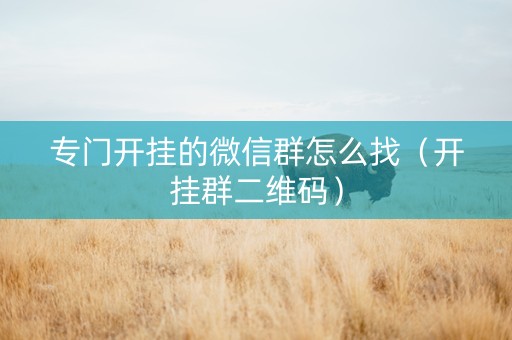 专门开挂的微信群怎么找（开挂群二维码）