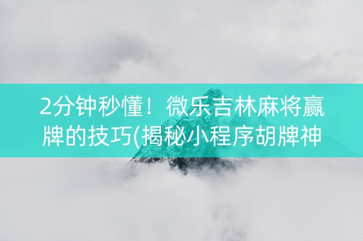 2分钟秒懂！微乐吉林麻将赢牌的技巧(揭秘小程序胡牌神器)