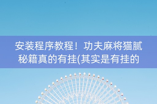 安装程序教程！功夫麻将猫腻秘籍真的有挂(其实是有挂的)