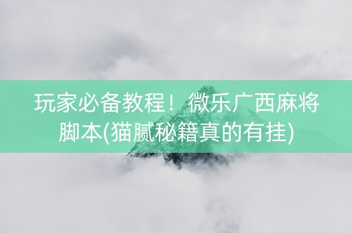 玩家必备教程！微乐广西麻将脚本(猫腻秘籍真的有挂)