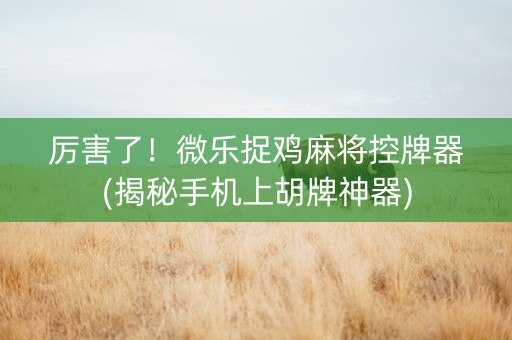 厉害了！微乐捉鸡麻将控牌器(揭秘手机上胡牌神器)