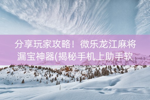 分享玩家攻略！微乐龙江麻将漏宝神器(揭秘手机上助手软件)