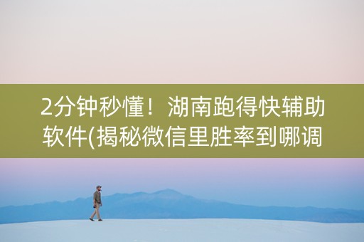 2分钟秒懂！湖南跑得快辅助软件(揭秘微信里胜率到哪调)