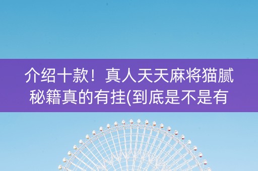 介绍十款！真人天天麻将猫腻秘籍真的有挂(到底是不是有挂)
