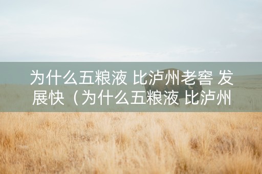为什么五粮液 比泸州老窖 发展快（为什么五粮液 比泸州老窖 发展快呢）