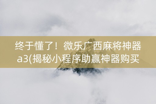 终于懂了！微乐广西麻将神器a3(揭秘小程序助赢神器购买)