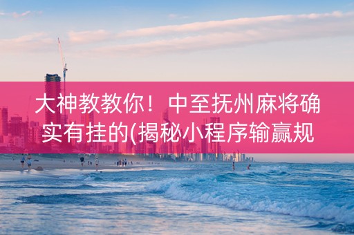 大神教教你！中至抚州麻将确实有挂的(揭秘小程序输赢规律)