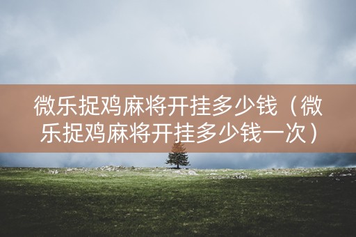 微乐捉鸡麻将开挂多少钱（微乐捉鸡麻将开挂多少钱一次）