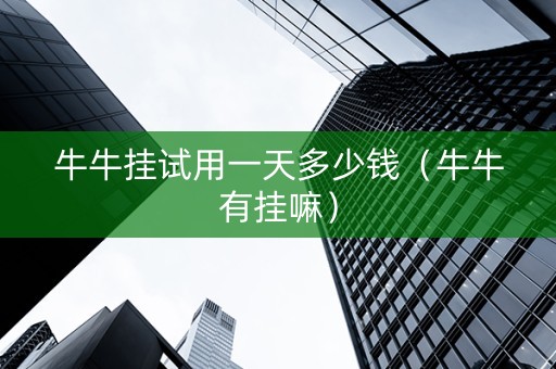 牛牛挂试用一天多少钱（牛牛有挂嘛）