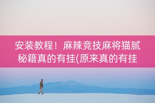 安装教程！麻辣竞技麻将猫腻秘籍真的有挂(原来真的有挂)