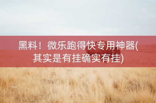 黑料！微乐跑得快专用神器(其实是有挂确实有挂)