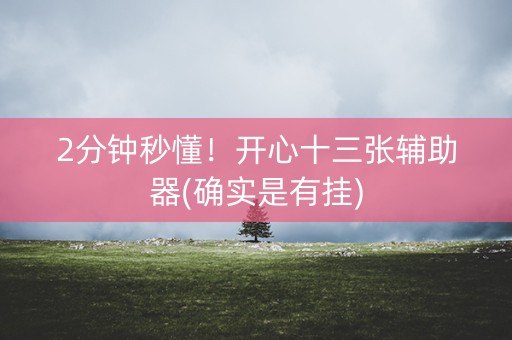 2分钟秒懂！开心十三张辅助器(确实是有挂)