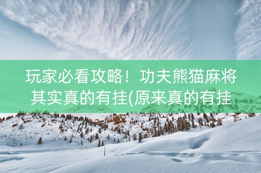 玩家必看攻略！功夫熊猫麻将其实真的有挂(原来真的有挂)