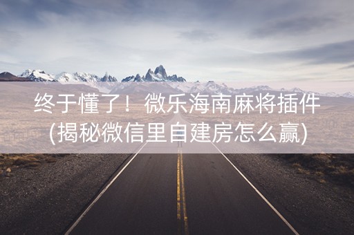 终于懂了！微乐海南麻将插件(揭秘微信里自建房怎么赢)