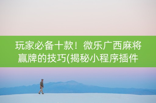 玩家必备十款！微乐广西麻将赢牌的技巧(揭秘小程序插件购买)