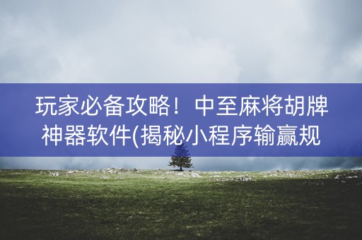 玩家必备攻略！中至麻将胡牌神器软件(揭秘小程序输赢规律)