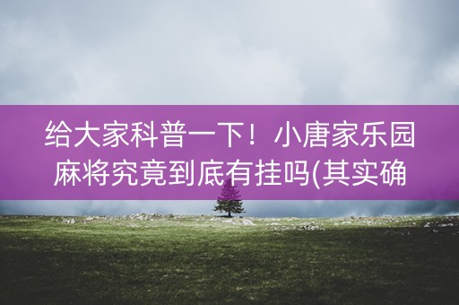 给大家科普一下！小唐家乐园麻将究竟到底有挂吗(其实确实有挂)