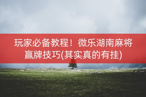 玩家必备教程！微乐湖南麻将赢牌技巧(其实真的有挂)