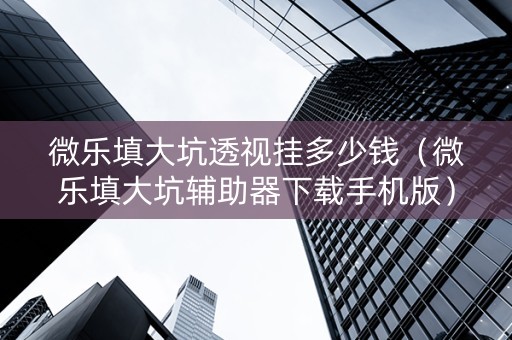 微乐填大坑透视挂多少钱（微乐填大坑辅助器下载手机版）