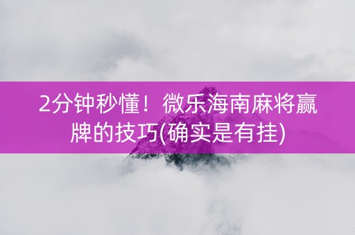 2分钟秒懂！微乐海南麻将赢牌的技巧(确实是有挂)