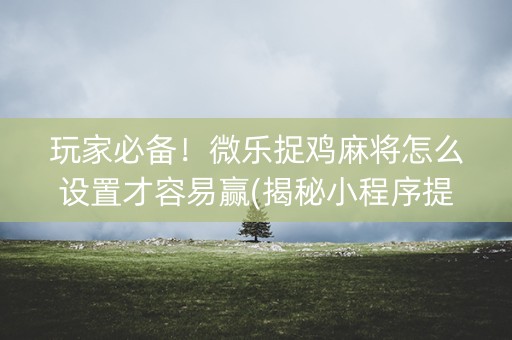 玩家必备！微乐捉鸡麻将怎么设置才容易赢(揭秘小程序提高胜率)