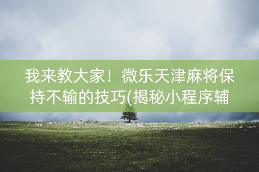 我来教大家！微乐天津麻将保持不输的技巧(揭秘小程序辅牌器)