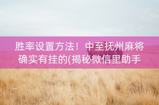 胜率设置方法！中至抚州麻将确实有挂的(揭秘微信里助手软件)