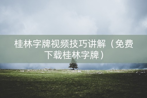 桂林字牌视频技巧讲解（免费下载桂林字牌）