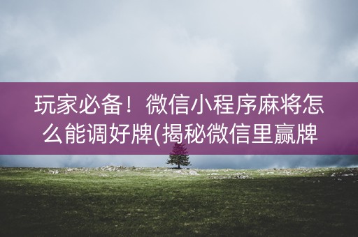玩家必备！微信小程序麻将怎么能调好牌(揭秘微信里赢牌的技巧)