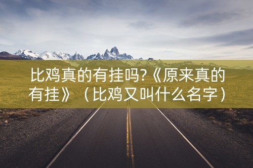 比鸡真的有挂吗?《原来真的有挂》（比鸡又叫什么名字）