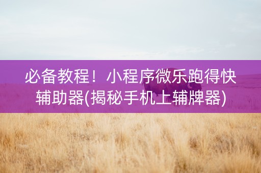 必备教程！小程序微乐跑得快辅助器(揭秘手机上辅牌器)