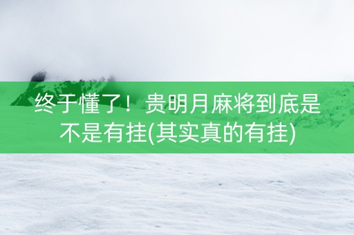 终于懂了！贵明月麻将到底是不是有挂(其实真的有挂)