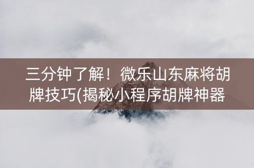 三分钟了解！微乐山东麻将胡牌技巧(揭秘小程序胡牌神器)