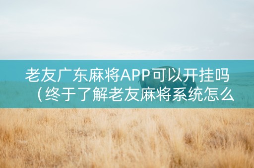 老友广东麻将APP可以开挂吗（终于了解老友麻将系统怎么样）