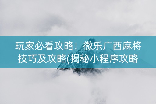 玩家必看攻略！微乐广西麻将技巧及攻略(揭秘小程序攻略插件)