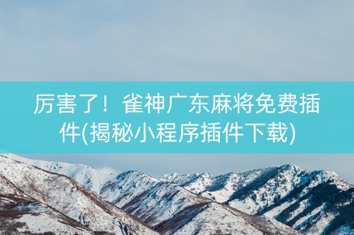 厉害了！雀神广东麻将免费插件(揭秘小程序插件下载)