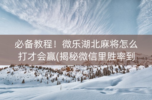 必备教程！微乐湖北麻将怎么打才会赢(揭秘微信里胜率到哪调)