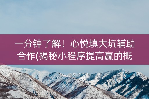 一分钟了解！心悦填大坑辅助合作(揭秘小程序提高赢的概率)