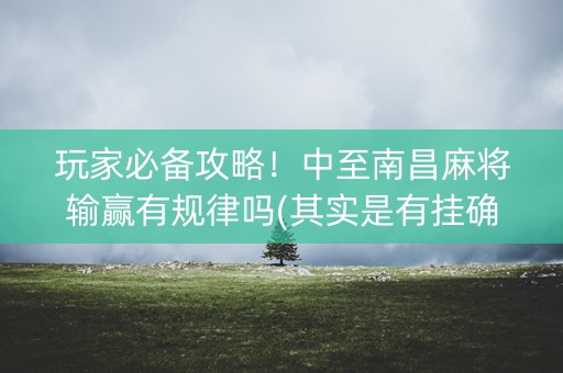 玩家必备攻略！中至南昌麻将输赢有规律吗(其实是有挂确实有挂)