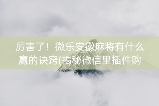 厉害了！微乐安徽麻将有什么赢的诀窍(揭秘微信里插件购买)