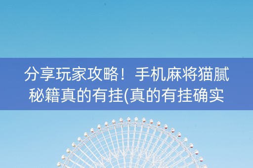 分享玩家攻略！手机麻将猫腻秘籍真的有挂(真的有挂确实有挂)