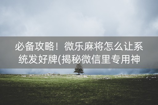 必备攻略！微乐麻将怎么让系统发好牌(揭秘微信里专用神器)