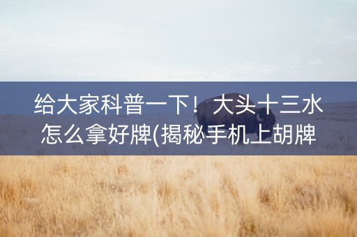 给大家科普一下！大头十三水怎么拿好牌(揭秘手机上胡牌技巧)