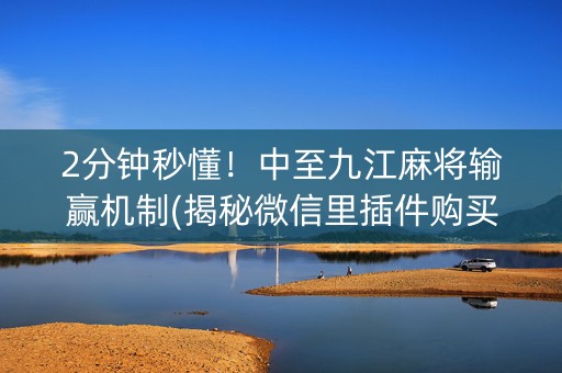 2分钟秒懂！中至九江麻将输赢机制(揭秘微信里插件购买)