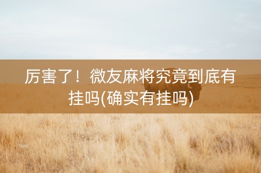 厉害了！微友麻将究竟到底有挂吗(确实有挂吗)