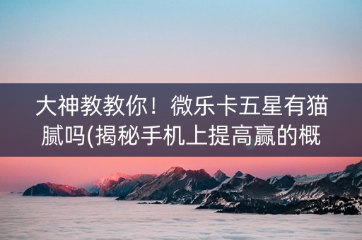 大神教教你！微乐卡五星有猫腻吗(揭秘手机上提高赢的概率)