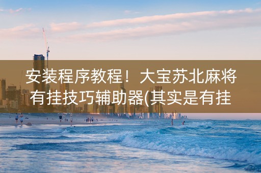 安装程序教程！大宝苏北麻将有挂技巧辅助器(其实是有挂确实有挂)